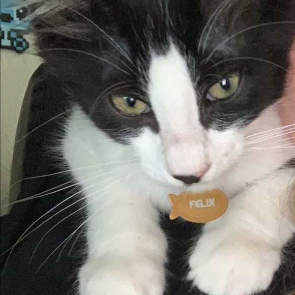 Meet your Posher, Nikki - Picture 2 of 6